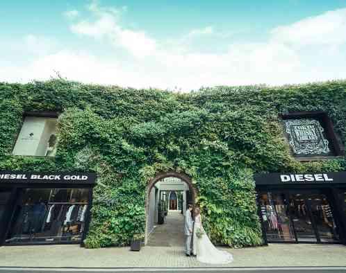 南青山サンタキアラ教会の写真6