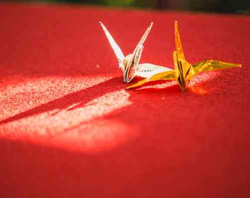 エルシオン KISARAZUの写真2