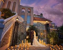 ステラ・デル・アンジェロの画像1