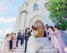 ステラ・デル・アンジェロの画像1