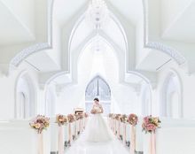 ステラ・デル・アンジェロの画像1