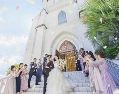 ステラ・デル・アンジェロの画像1