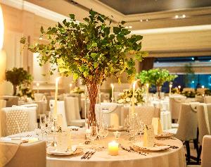 ステラ・デル・アンジェロの写真3