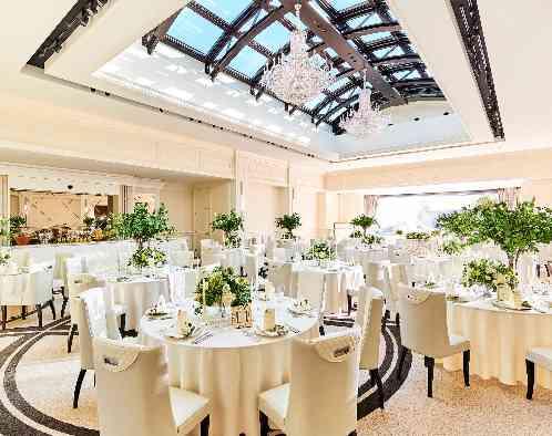 ステラ・デル・アンジェロの写真6