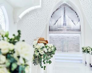 ステラ・デル・アンジェロの写真5