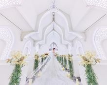 ステラ・デル・アンジェロの画像2