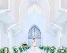 ステラ・デル・アンジェロの画像3