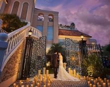 ステラ・デル・アンジェロの画像4