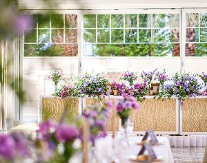 ステラ・デル・アンジェロの画像3