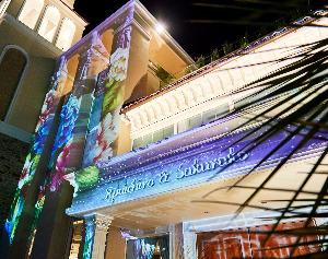 ステラ・デル・アンジェロの写真4