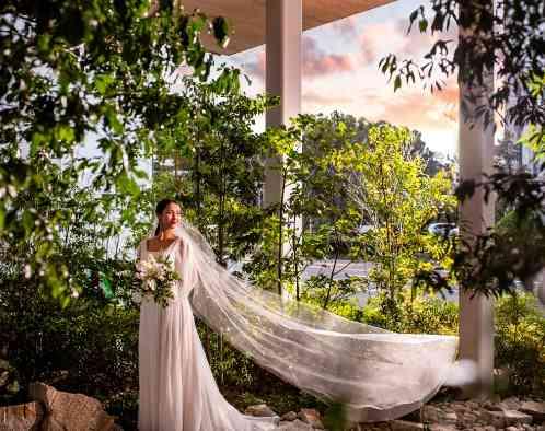 MIRAIE Wedding(ミライエウエディング)の画像4