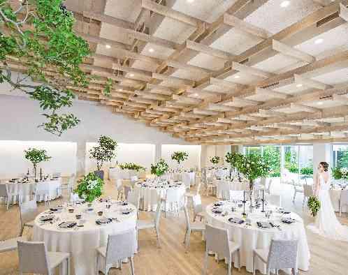 MIRAIE Wedding(ミライエウエディング)の写真3