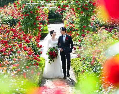 ホテルニューオータニの画像3