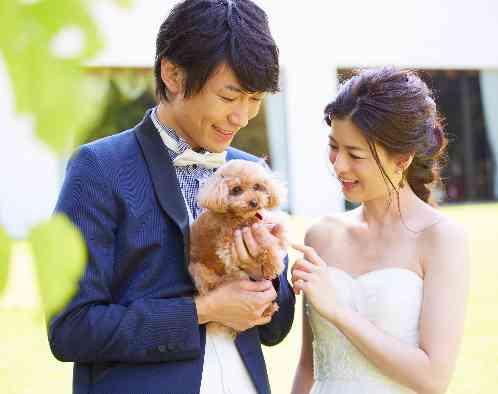 つま恋リゾート 彩の郷 (さいのさと)の写真4