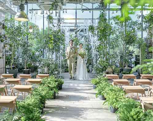 MEDI (メディー)の写真1