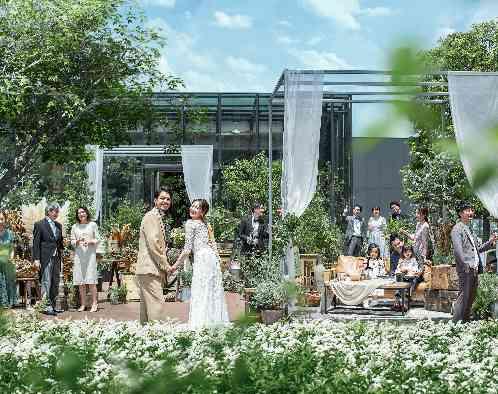 MEDI (メディー)の画像4