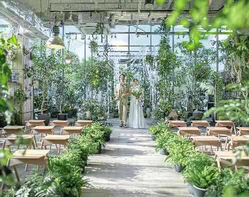 MEDI　(メディー）の写真1