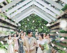 MEDI メディーの画像3