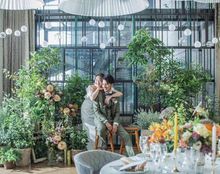 MEDI メディーの画像4