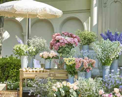 大宮 アートグレイス ウエディングシャトーの写真5