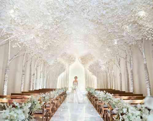 ニーズ名古屋丸の内 by T&G WEDDING(旧 トリフォーリア NAGOYA)の写真1