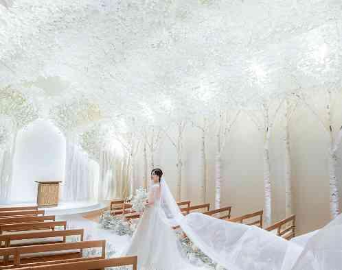 トリフォーリア NAGOYA/テイクアンドギヴ・ニーズウェディングの写真5