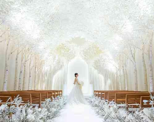 トリフォーリア NAGOYA/テイクアンドギヴ・ニーズウェディングの写真1