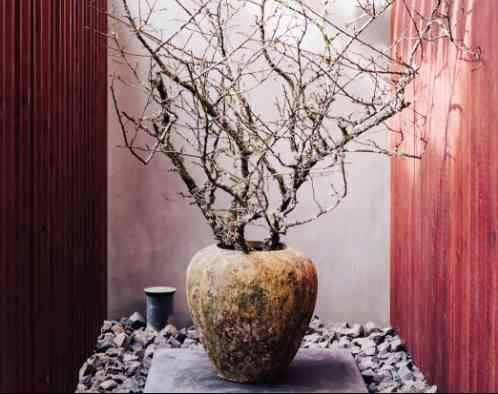 IWAI OMOTESANDOの写真5