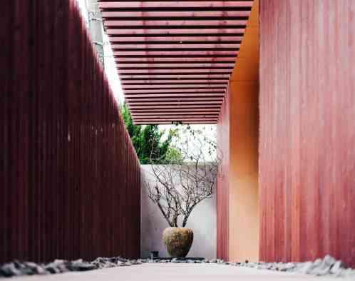 IWAI OMOTESANDOの画像1