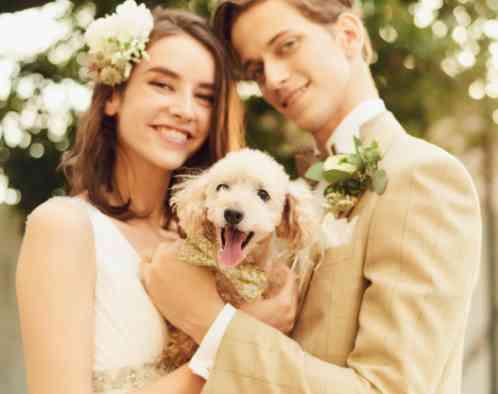 LA POLTO（ラ ポルト）の写真6