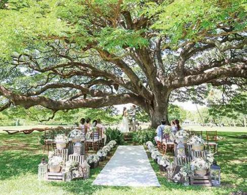 モアナルアガーデンウェディング / ワタベウェディングの画像1