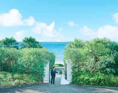 ラヴィマーナ神戸 の画像5