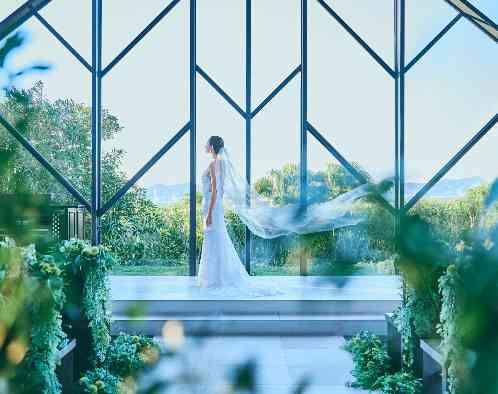 ラヴィマーナ神戸　の写真4