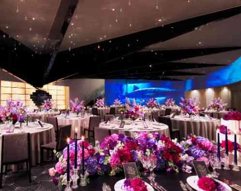 ベルヴィ武蔵野の写真1