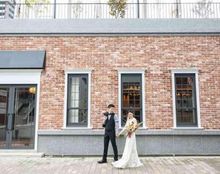 グリリア・パージナの画像2