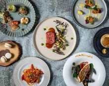 グリリア・パージナの画像3