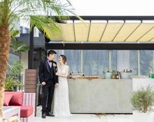 グリリア・パージナの画像4