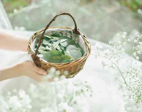 星ヶ丘迎賓館 アートグレイスクラブの画像4