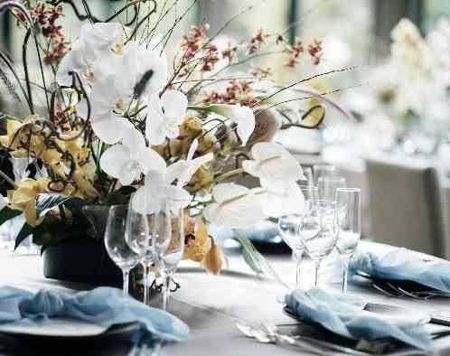 SCAPES THE SUITE(スケープス ザ スィート)の写真4