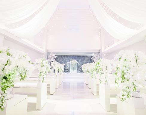 セレブレーション!ステラ