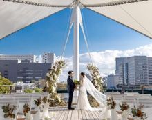 ティーロータスエムの画像4