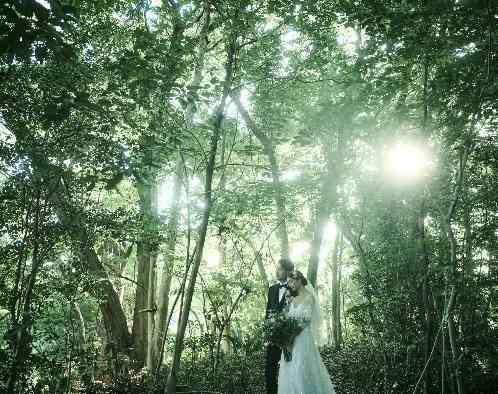 高宮庭園茶寮の写真2