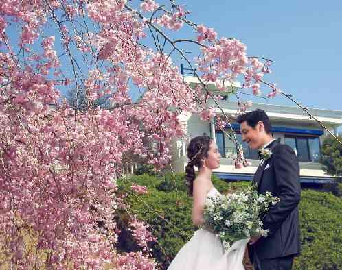 TERAKOYA/テイクアンドギヴ・ニーズウェディングの写真1