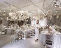 SHOTO GALLERY