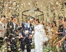 SHOTO GALLERYの画像2