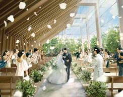 表参道TERRACE/テイクアンドギヴ・ニーズウェディングの画像3