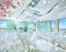 SAKURA SKY PALACEのサムネイル写真