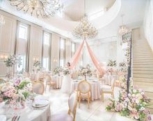 アンウィットの画像2