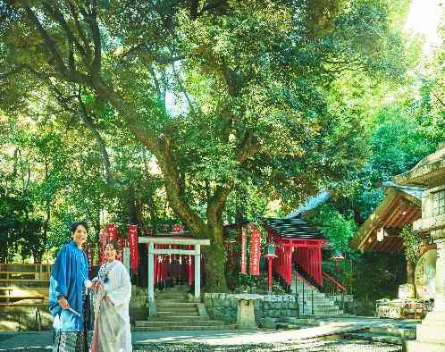 乃木神社・乃木會館の写真3