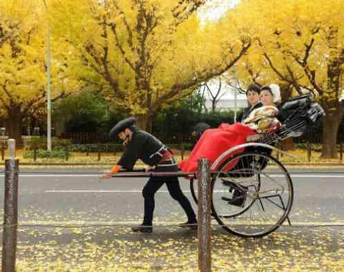 響 風庭 赤坂の写真4